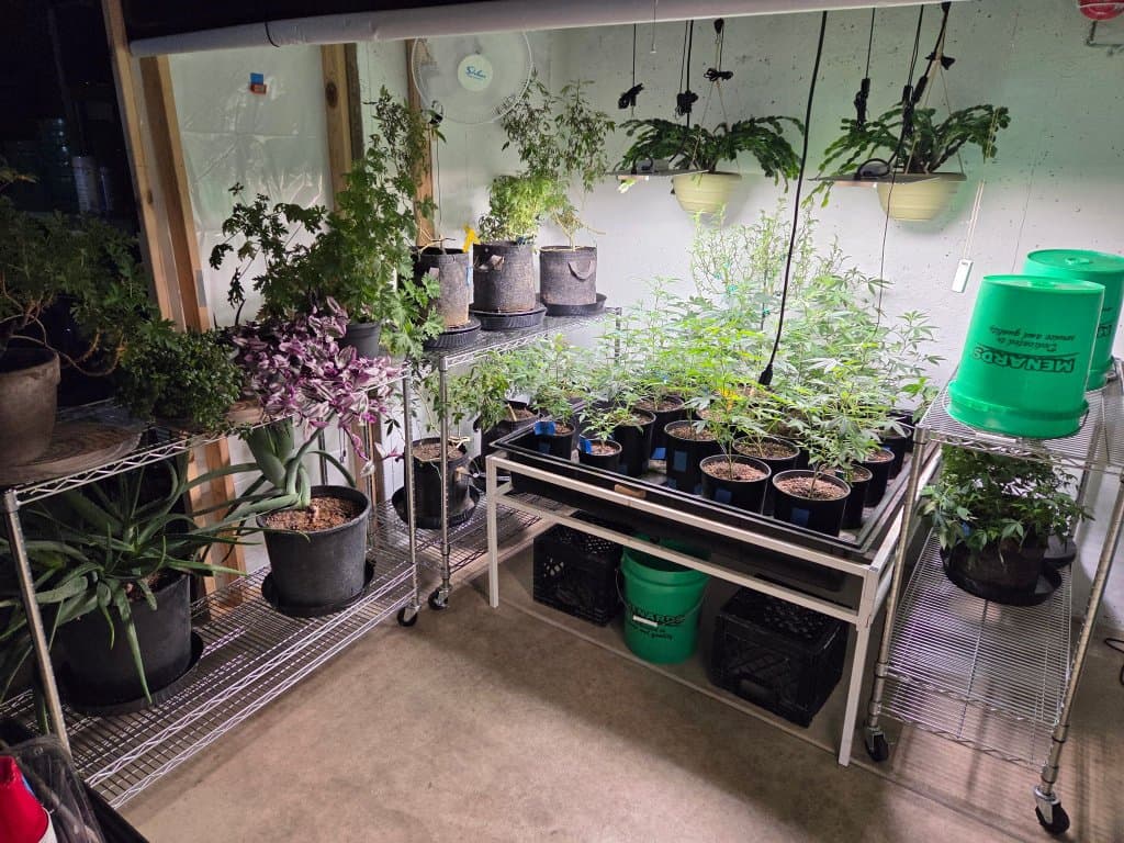 Operation Green Healing Garden